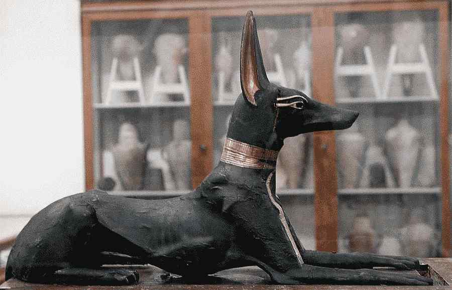 Anubis