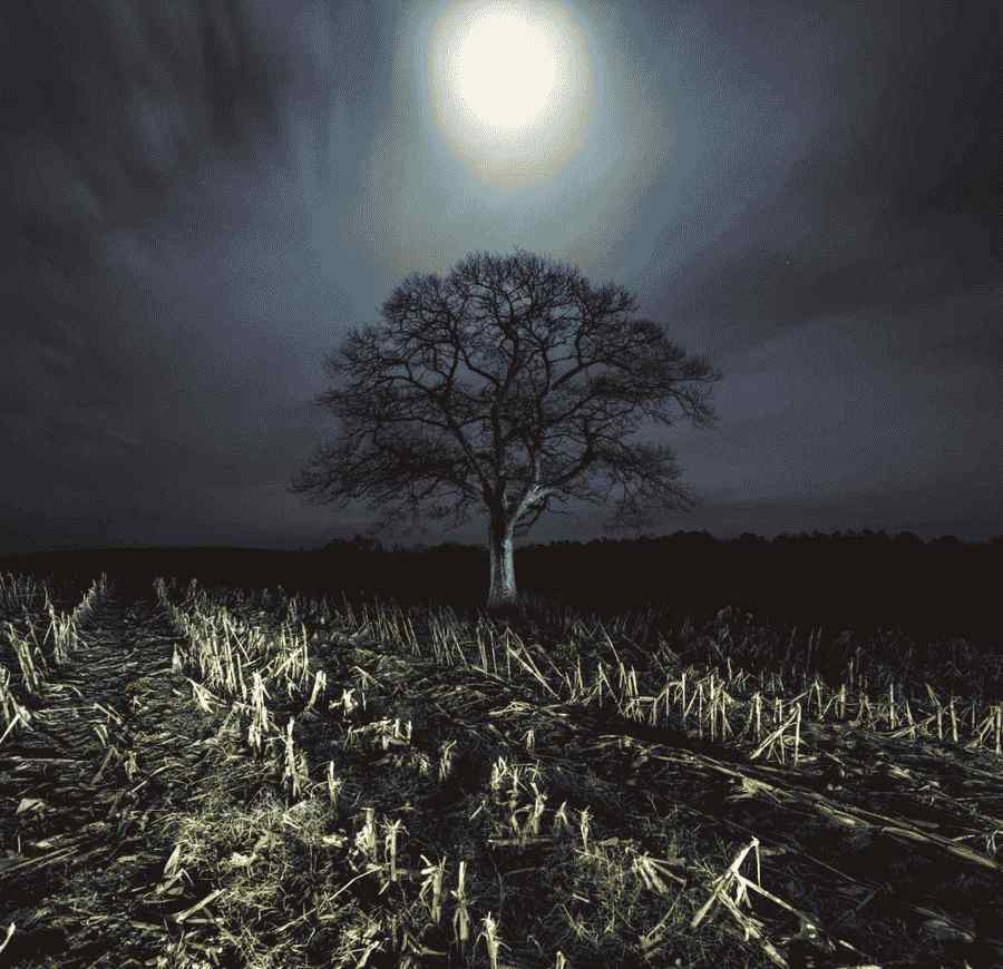 CornMoon_1500.jpg