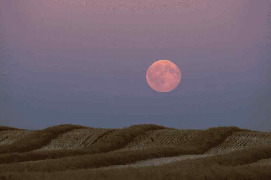 HarvestMoon_1500.jpg